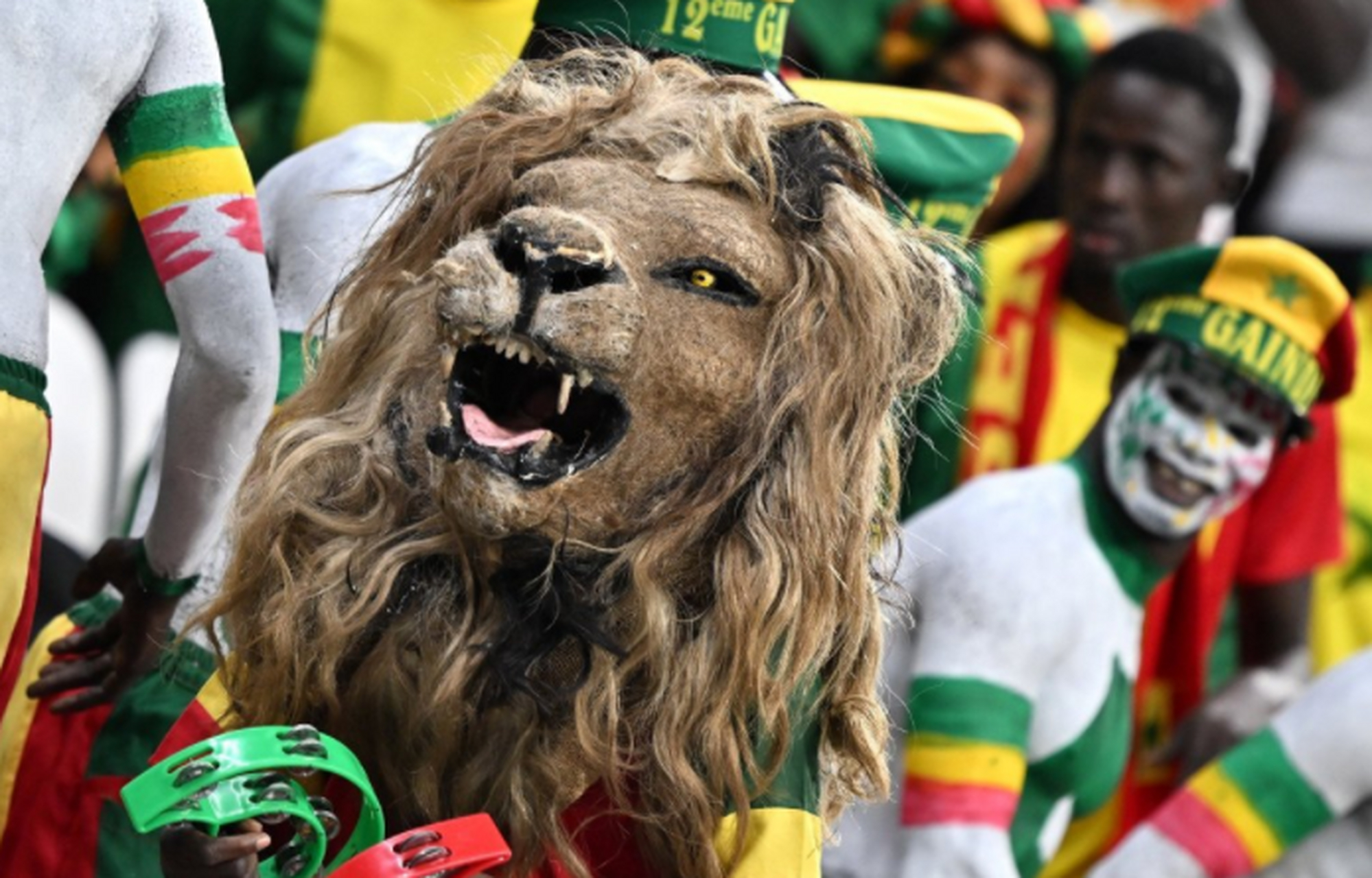 包含英格兰队横扫法国队，波尔状态火热的词条