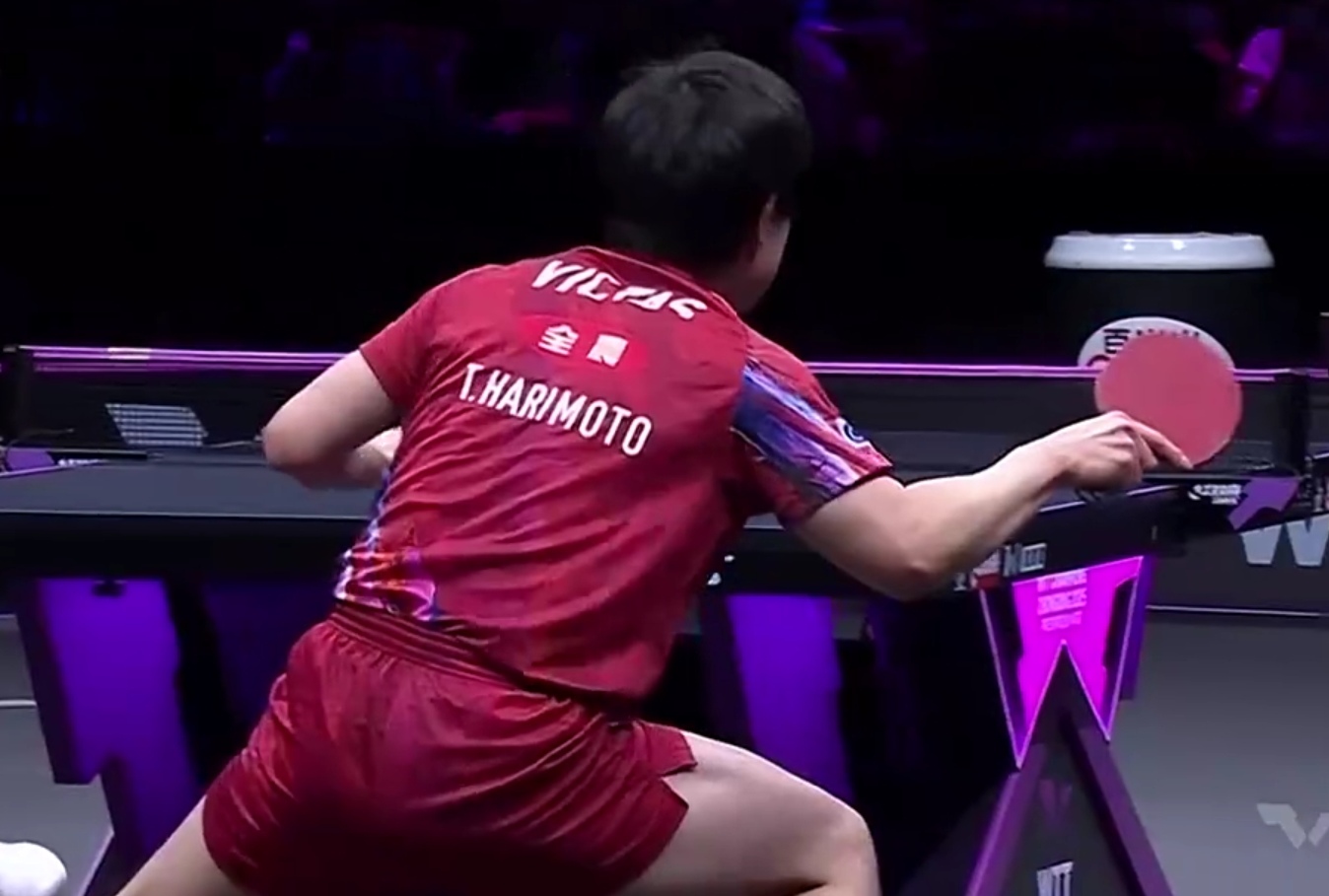 英格兰队鏖战中国队,张本智和高光表现 英格兰队鏖战中国队,张本智和高光表现