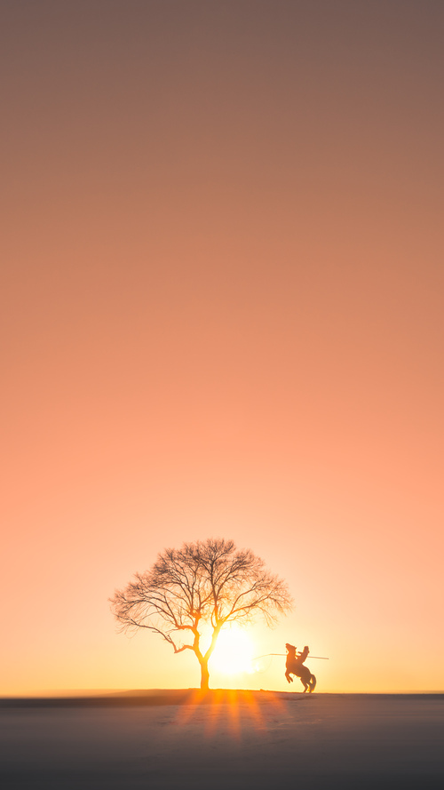 范戴克铁闸锁波兰，当德甲利刃遭遇现代防守的艺术杰作