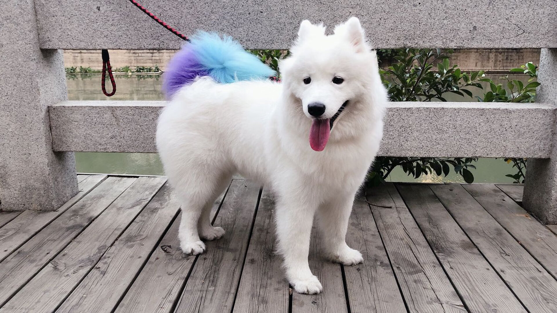 克莱式关键先生，山西队巅峰对决胜出雄鹿