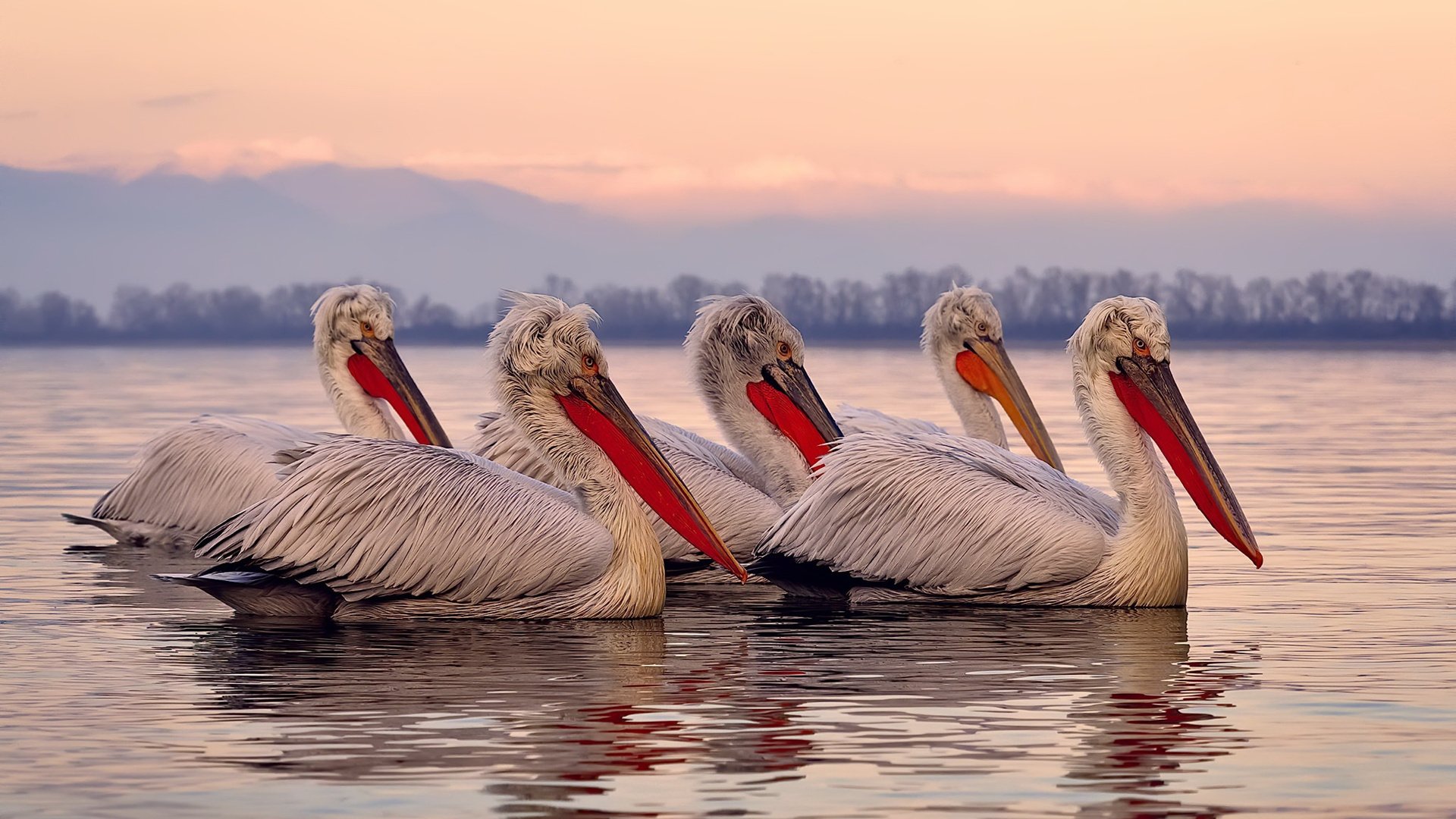 当喧嚣散尽,他听见了冰原解冻的声音—季后赛抢七之夜,拉梅洛打出生涯之夜