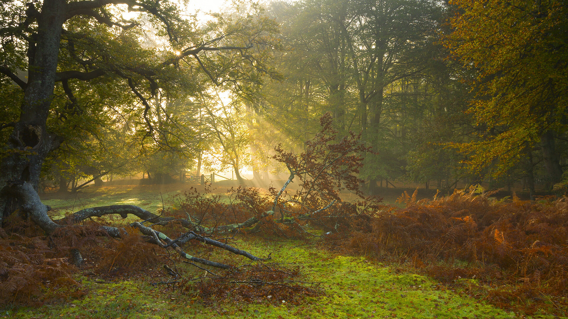 末节逆转与生死接管，体育史上的双重震撼