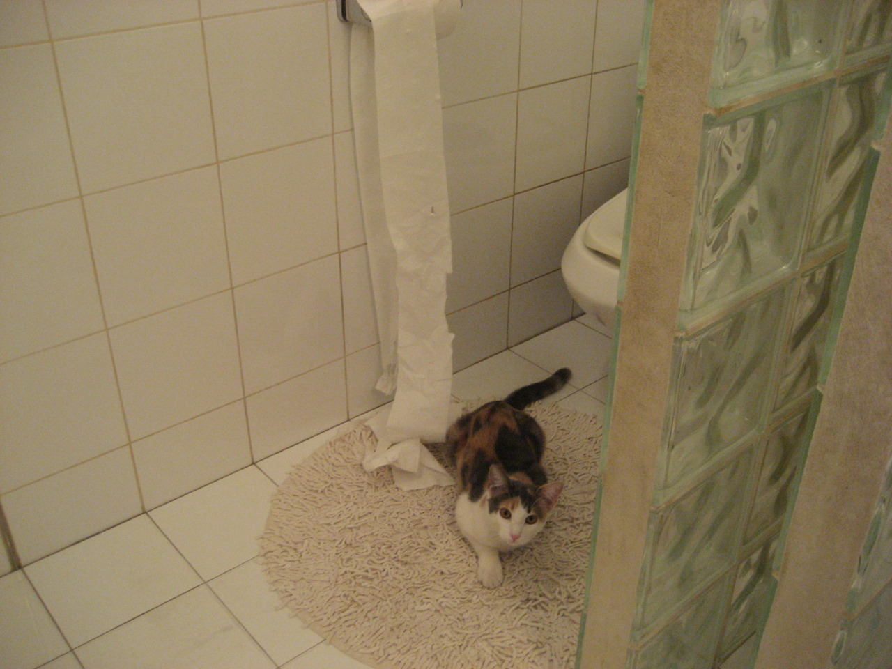 布伦森闪耀全场,完美发挥主导战局,勇士与篮网的较量见证新星崛起