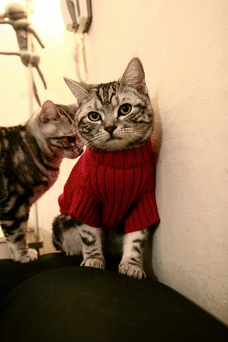 绿茵场与硬木地的交响，西甲国家德比与快船击溃爵士的焦点战盛宴