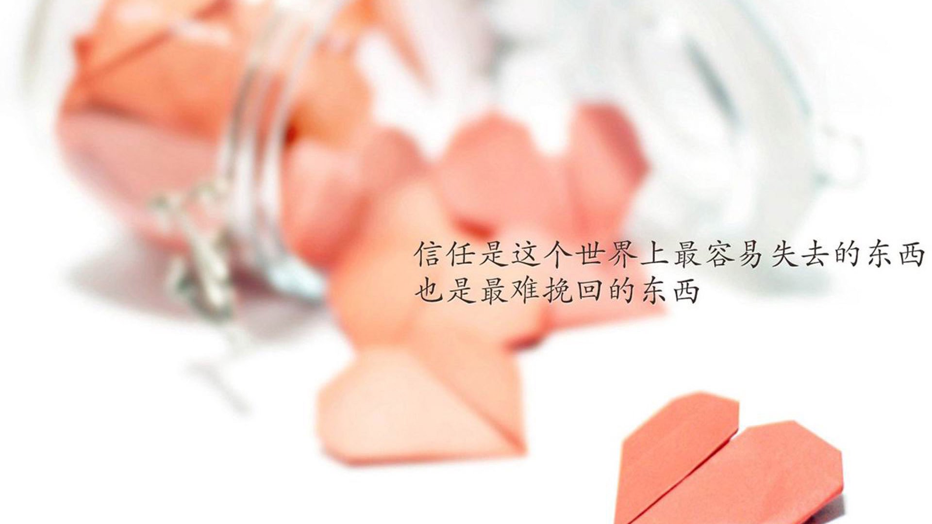 开云体育在线-当代球星的双面镜,塔图姆的刀与太阳的浪潮