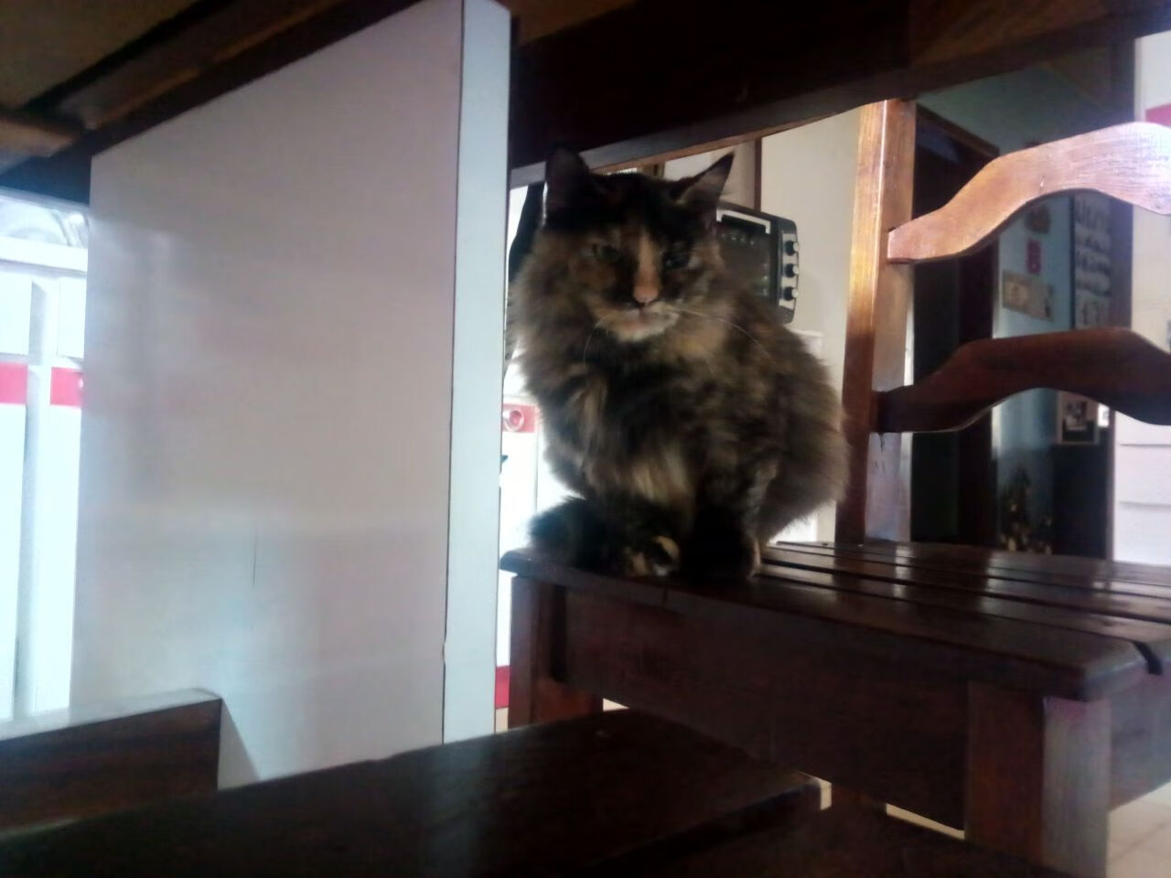 开云体育app-黄蜂蛰伤热火！英格拉姆末节封神演绎关键先生